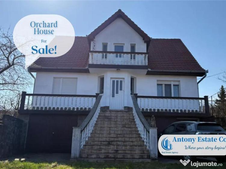 Casa cu Livada proprietate deosebita cu livada si cur... - 2