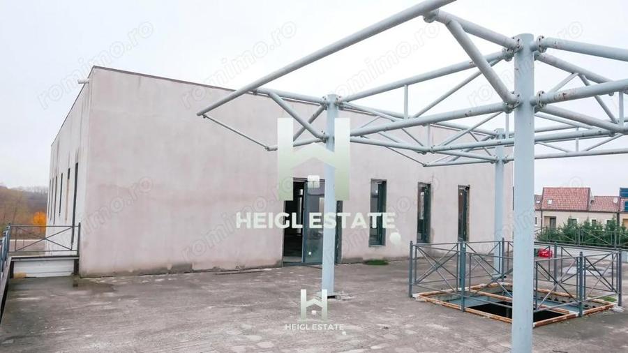 Sala de evenimente in Albina - 8