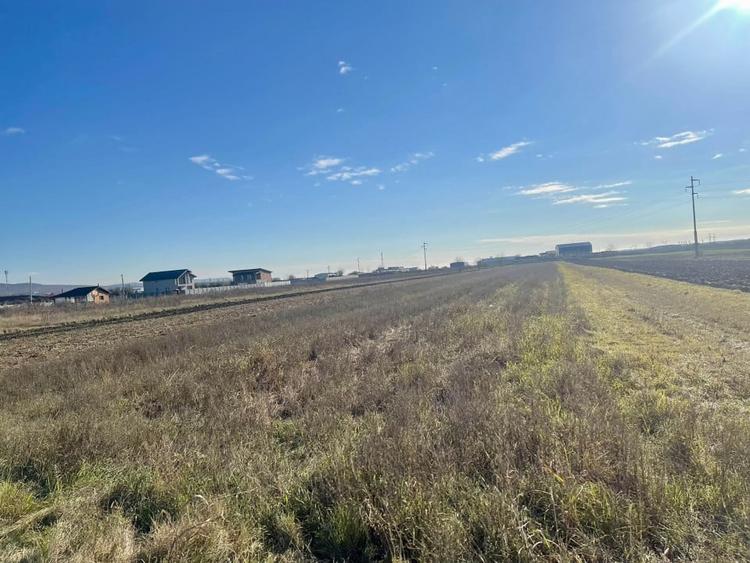 Teren agricol extravilan de 5000 mp, în Calea București