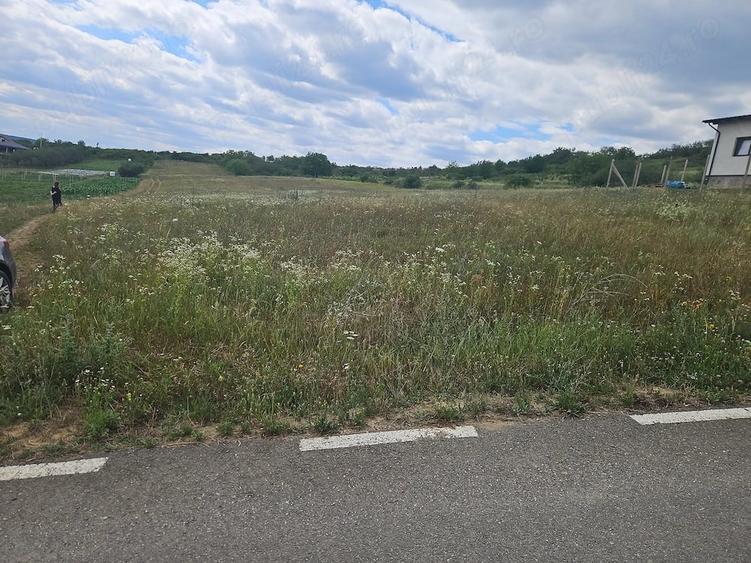 Teren de 500 mp, în Crișeni