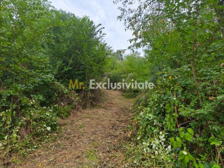 Teren 2552 mp, panorama superba Mosoaia Hintesti -Strada ... - 3