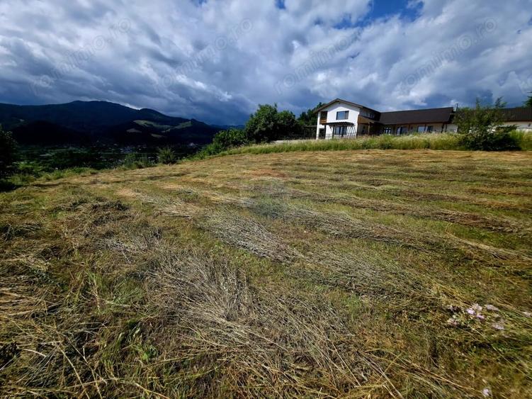Teren de 600 mp, în Viișoara