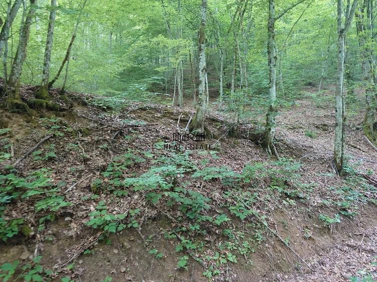 Teren de 1632 mp, în Bulzeștii de Sus