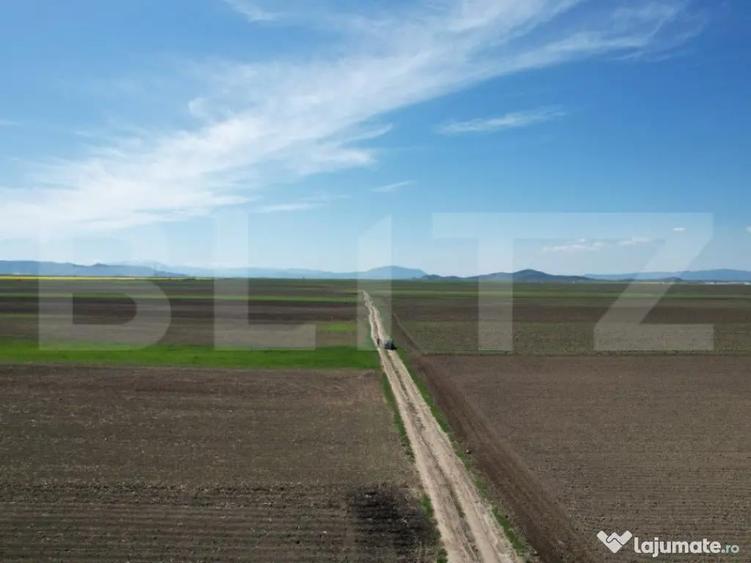 Teren extravilan, 17700mp, zona Prejmer - 3