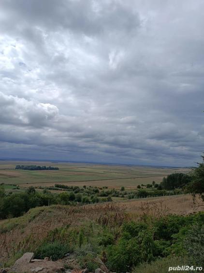 Teren cu casa batraneasca Comuna Baneasa - 4