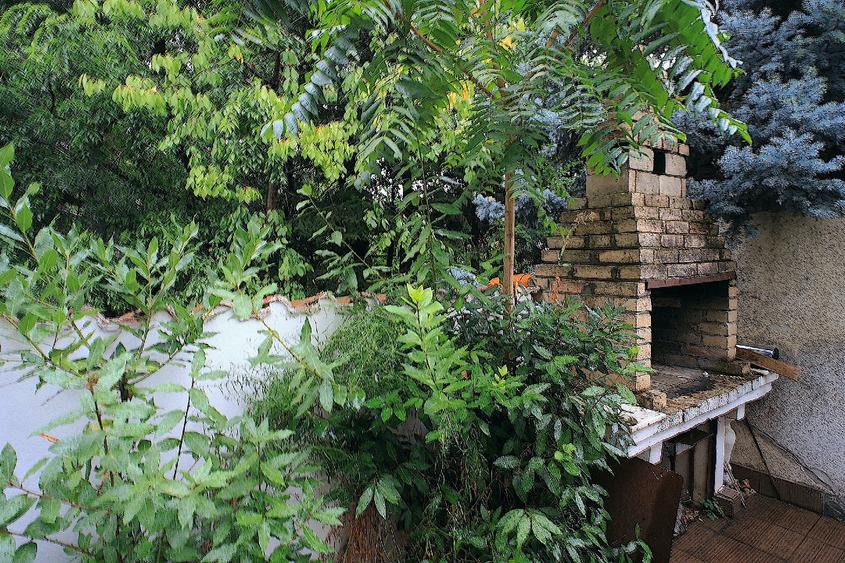 Vila de lângă parc – Cotroceni - 3