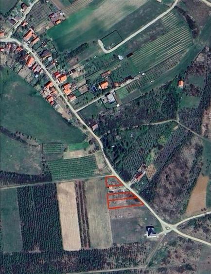 RECO Parcele Saldabagiu de Munte - 1