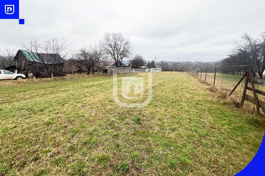 Casa traditionala la tara cu livada | Poieni-Solca - 22