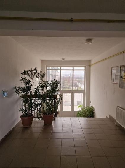 Apartament ultra spatios, de 222 mp utili+terasa foarte mare, inchisa, in Baile - 23