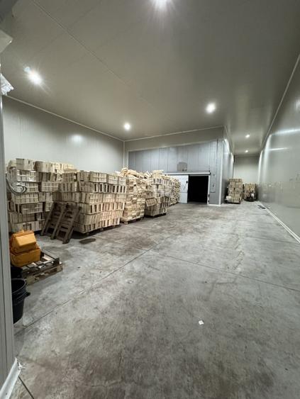 Anunt de inchiriere – spatii comerciale si industriale (depozite/ hale) Ploiesti - 11