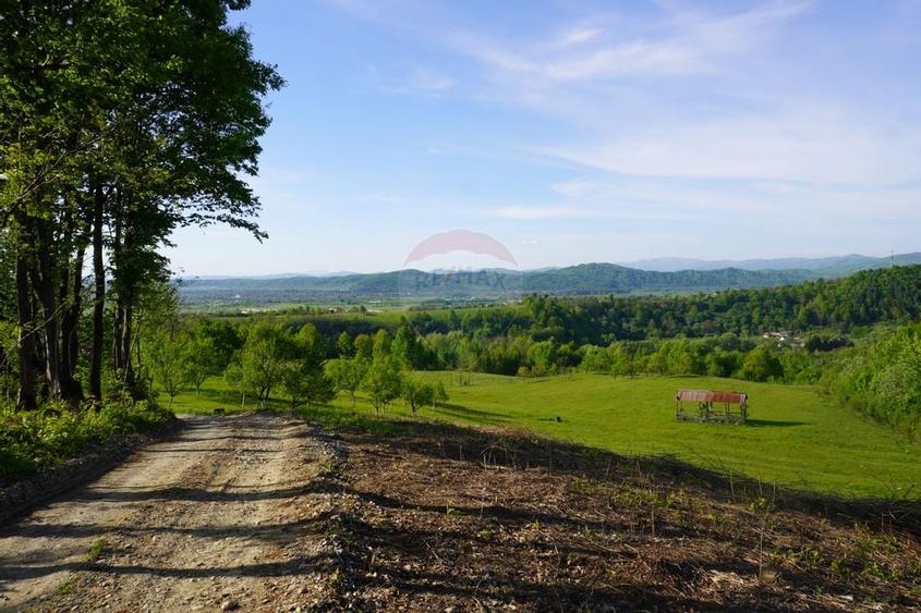 Teren 15,000mp Sighetu Marmatiei / Strada Mocăniței - 4