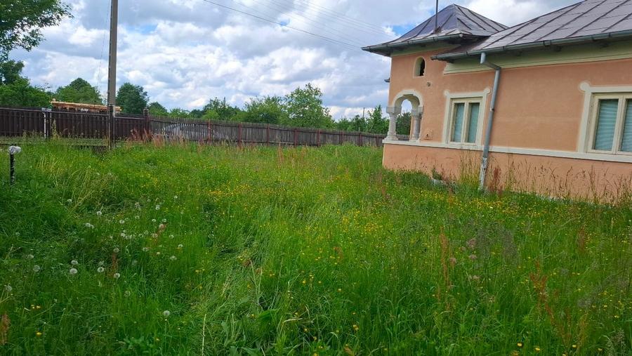 Casa Moraresti 3 camere parter si teren stradal intravilan 4522 mp - 15