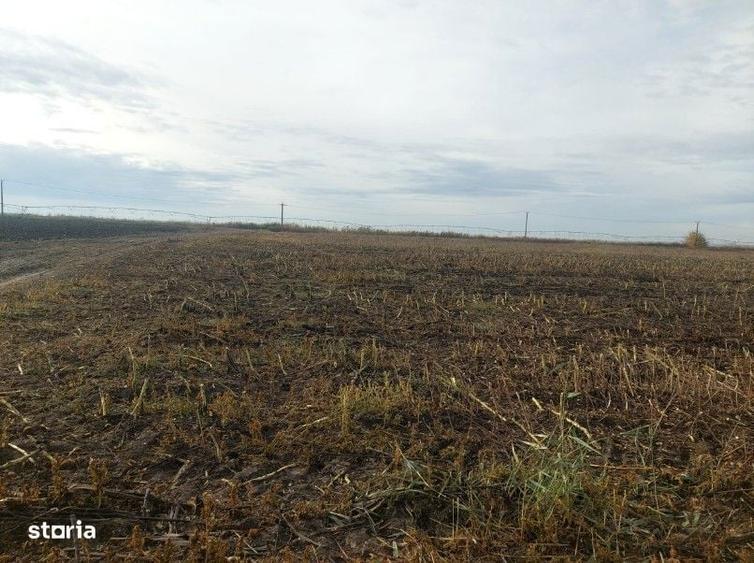 Teren extravilan Lunca Banului, ID: R2944332 - 3