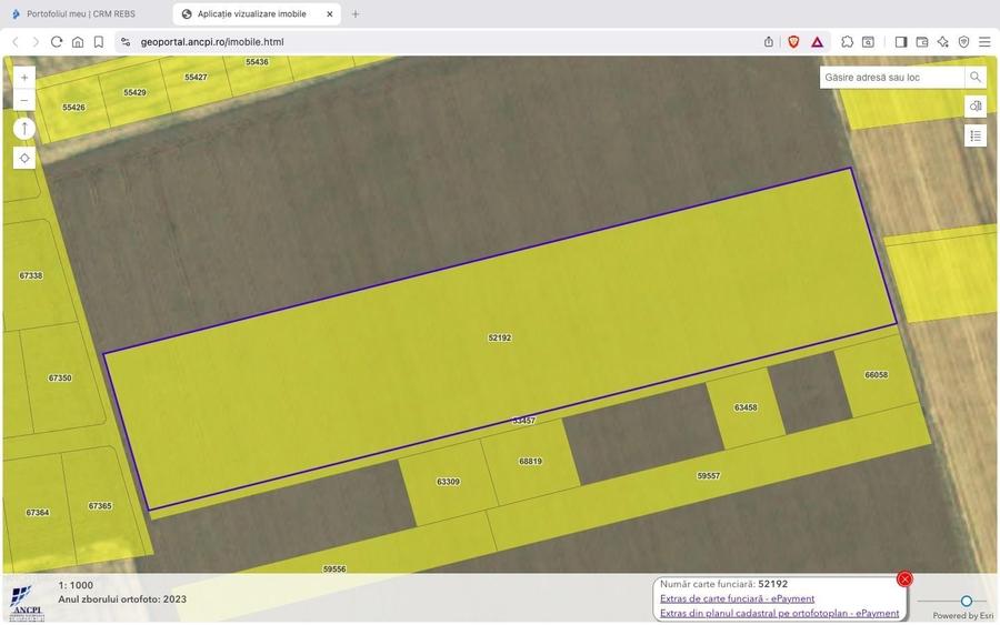 Teren intravilan 18.200 mp Saftica Balotesti - 7