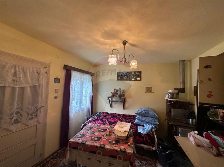 De vanzare GOSPODARIE in BUDESTI/ Maramures - 8