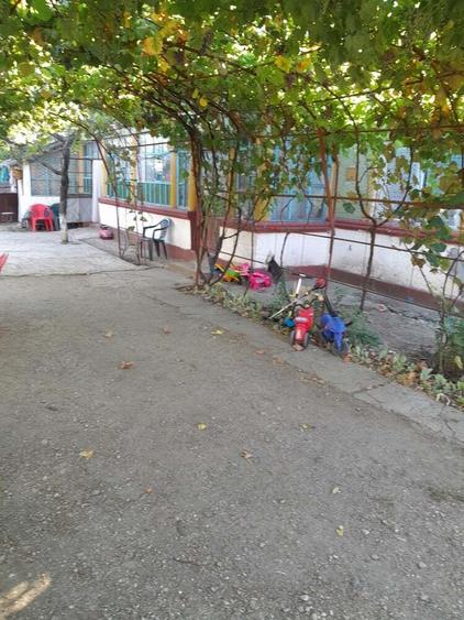 Vind casa in Novaci Giurgiu - 3