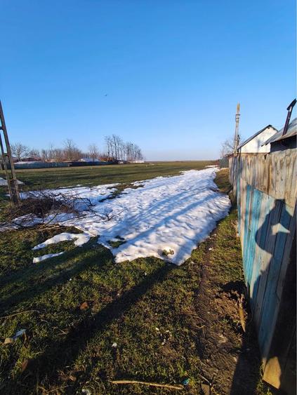 Teren Intravilan Bitina-Ungureni - 7