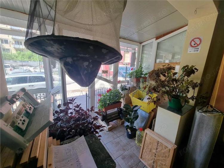 Garsoniera in Nicolina - 4