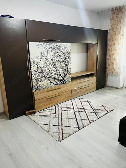 Vand apartament cu 2 camere, decomandat, com. Lovrin - 1