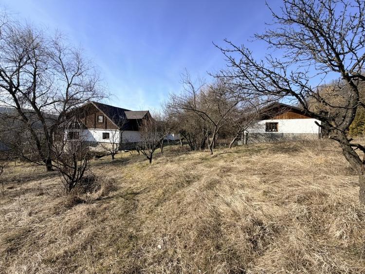 Refugiu Exclusivist Prahova Casa cu 5.2 ha, Panoramă Pârâu și Potențial Turistic - 31