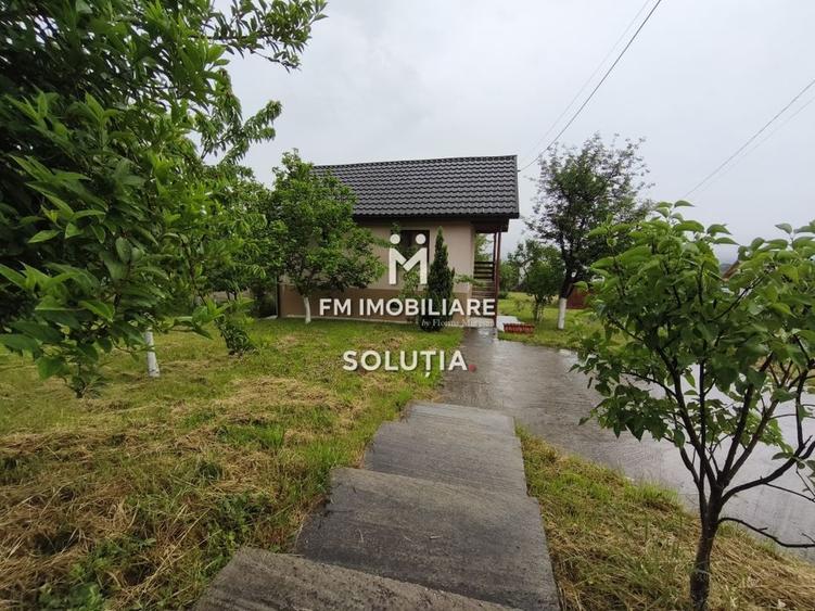 Casă P+1 de vânzare în Cicârlău – zonă superbă, 11 ari teren! - 13