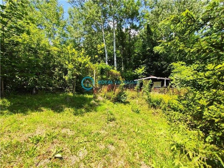 Royal Imobiliare -vanzare vila/ casa de vacanta zona CAMPINA - 24