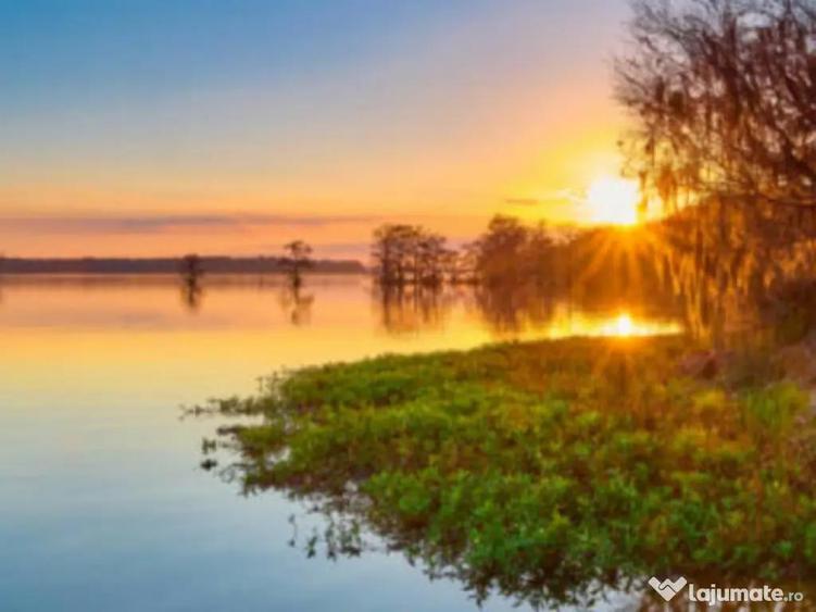 SISESTI teren. 5000mp iesire la LAC - 1