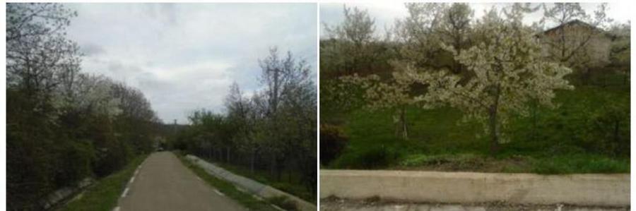 Teren extravilan livada cota parte 1/2 Candesti ID: R1965236 - 1