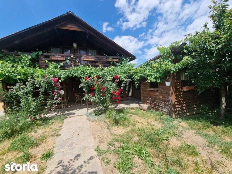 Cabana de lemn, 110mp, 30 ari de teren extravilan - 2