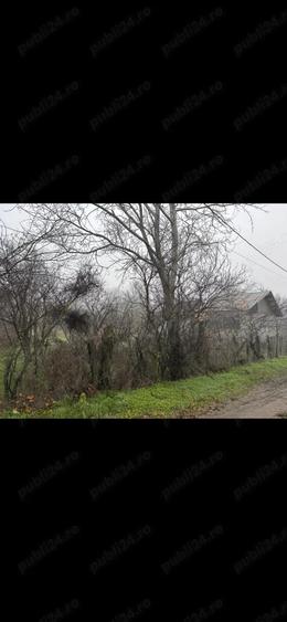 Teren vanzare + constructie 2499 mp electricitate+apa - 3