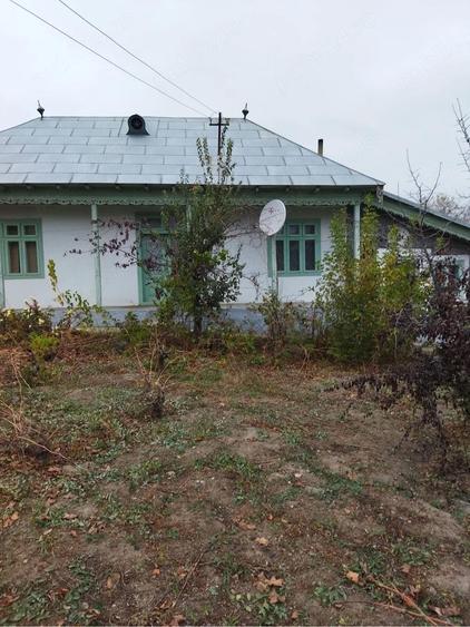 Casa de vanzare in Garvan, judetul Tulcea gospodarie traditionala cu teren generos - 3