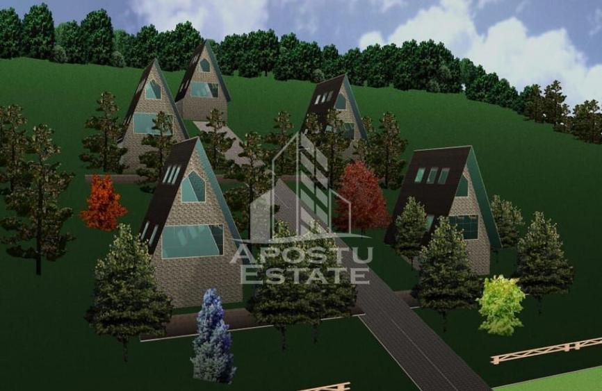 Teren Construibil - Sebis - 4