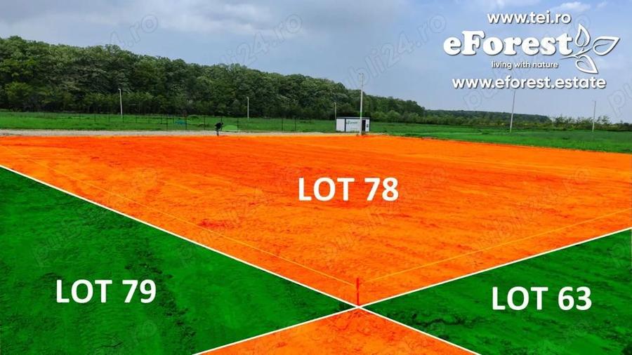 Profita acum de oferta de Pa?te! Teren aproape de natura ?i Bucure?ti, acces din DN1A, eForest - 5