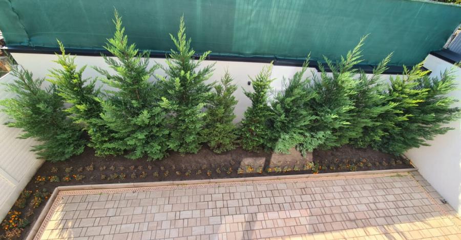 Imobil nou -Afacere,Birouri - 8