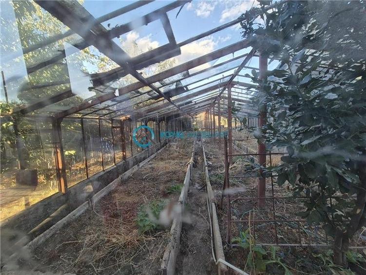 Royal Imobiliare - Vanzare Vila Zona Paulesti - Gageni - 43