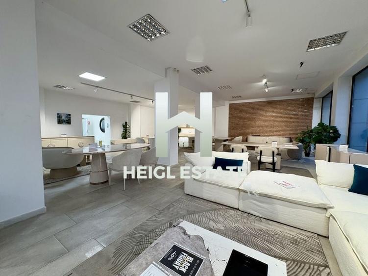 Spatiu comercial in zona Sagului - 4