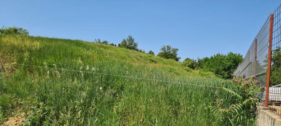 Teren Bucium Plopii fara sot - 5