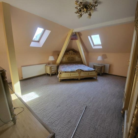 Vila boiereasca, superba, strada, linistita, nelipita de vreun alt imobil - 21