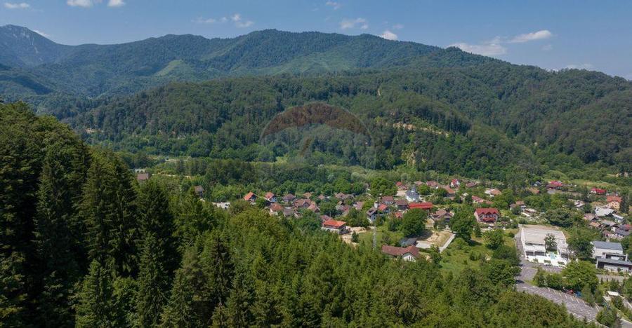 Teren intravilan, 3000 mp, Dambu Morii - 8