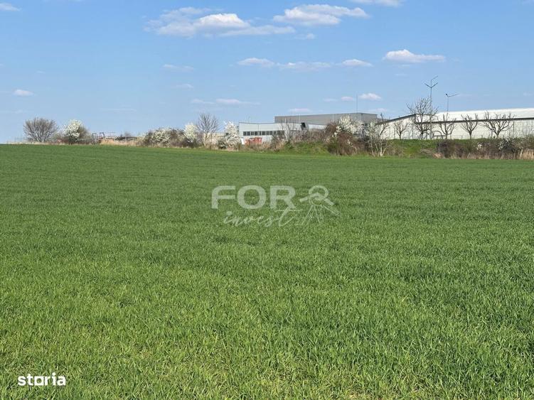 Teren intravilan de vanzare 1000 mp zona Aeroport Oradea - 1