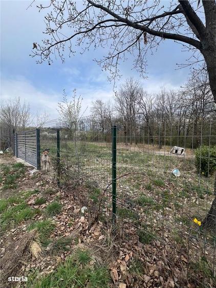 RECO Teren Saldabagiu de Munte - 2