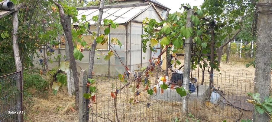 Casa de vanzare Movila(Ialomita) 1877mp - 3