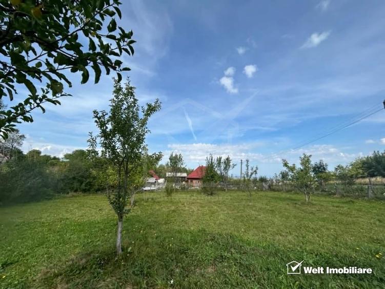 Teren pentru casa/cabana intr-o zona cu aer curat - 5