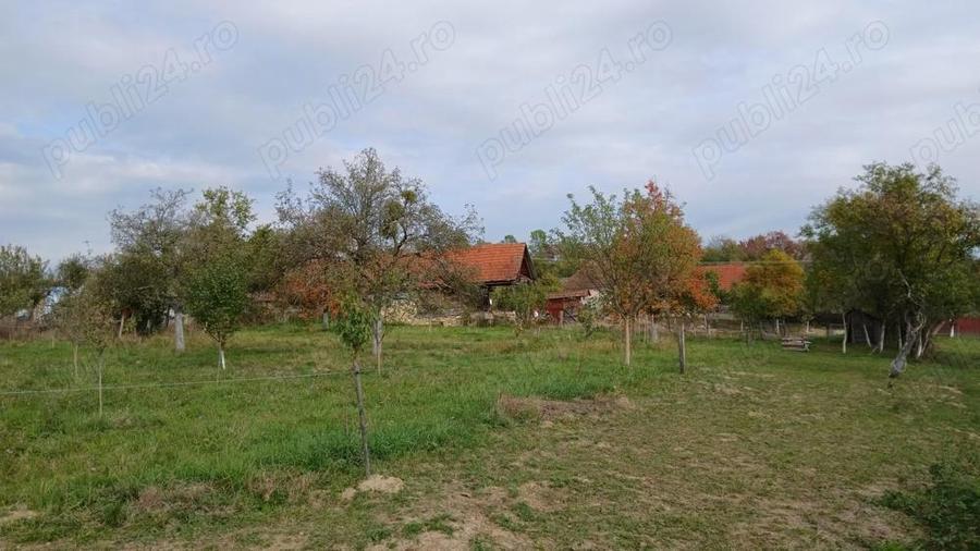 Loc de casa cu livada ?i corp de cladire - 5