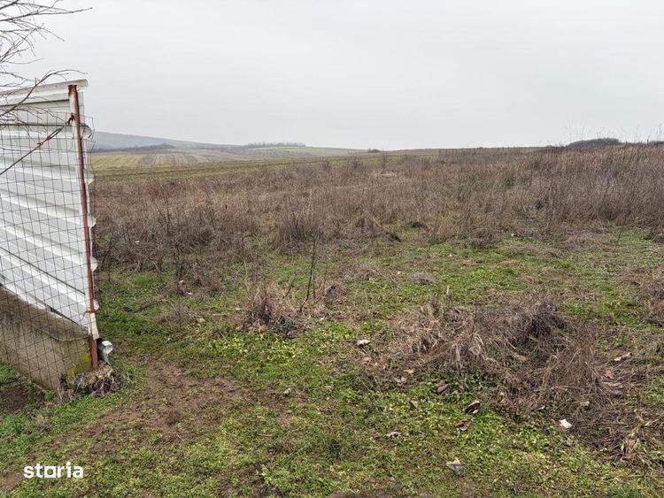 Teren intravilan 500 mp, Simnicul de Sus, utilitati la front - 2