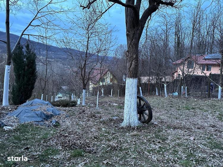 Vanzare cabana+ teren intravilan 1050mp, casa de vacanta/locuinta - 7