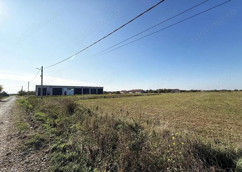 5000 mp. teren intravilan - Les - IMOBIHOR - 1