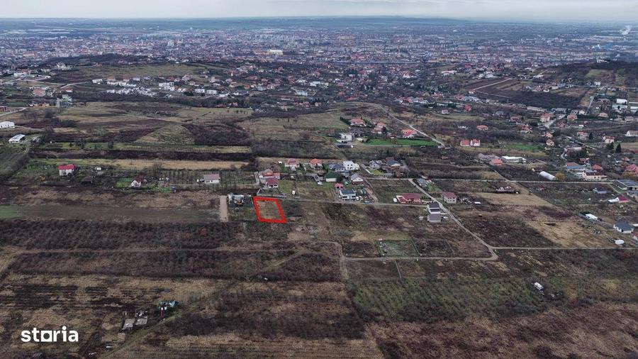 Teren Intravilan, Nicolae Beldiceanu - 3