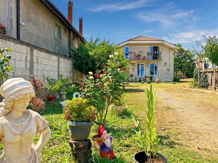 Vilă P+M | Valu lui Traian | 268 mp | Teren 500 sau 1044 mp - 14