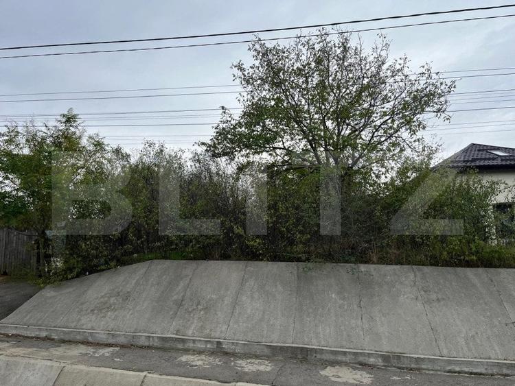 Teren 1895 mp, in Carcea, front 21 ml, toate utilitatile - 3